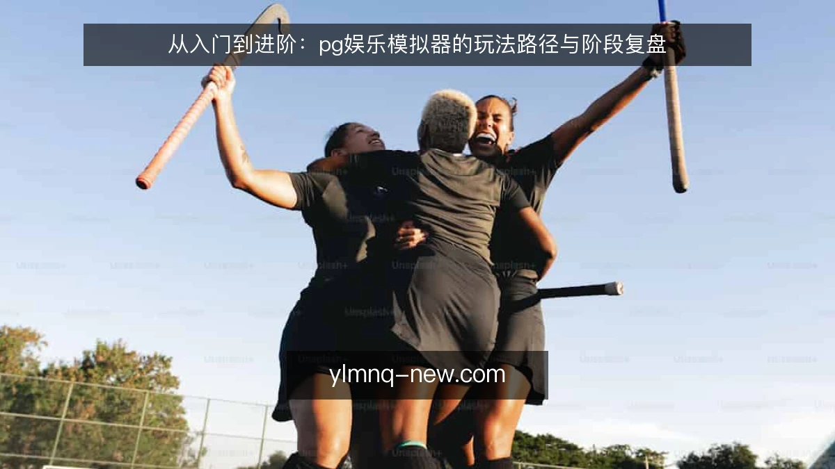 从入门到进阶:pg娱乐模拟器的玩法路径与阶段复盘
