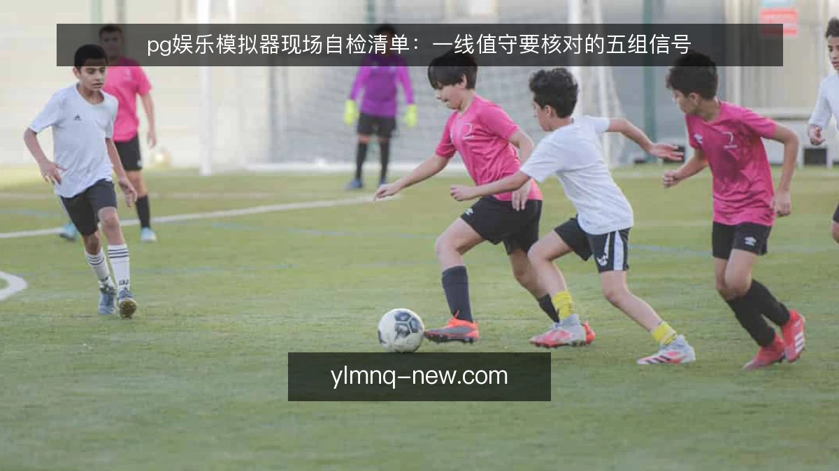pg娱乐模拟器现场自检清单:一线值守要核对的五组信号