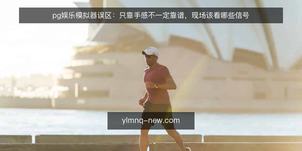 pg娱乐模拟器误区:只靠手感不一定靠谱,现场该看哪些信号 — 先看哪些信号值得盯 配图