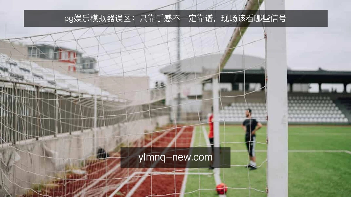 pg娱乐模拟器误区:只靠手感不一定靠谱,现场该看哪些信号